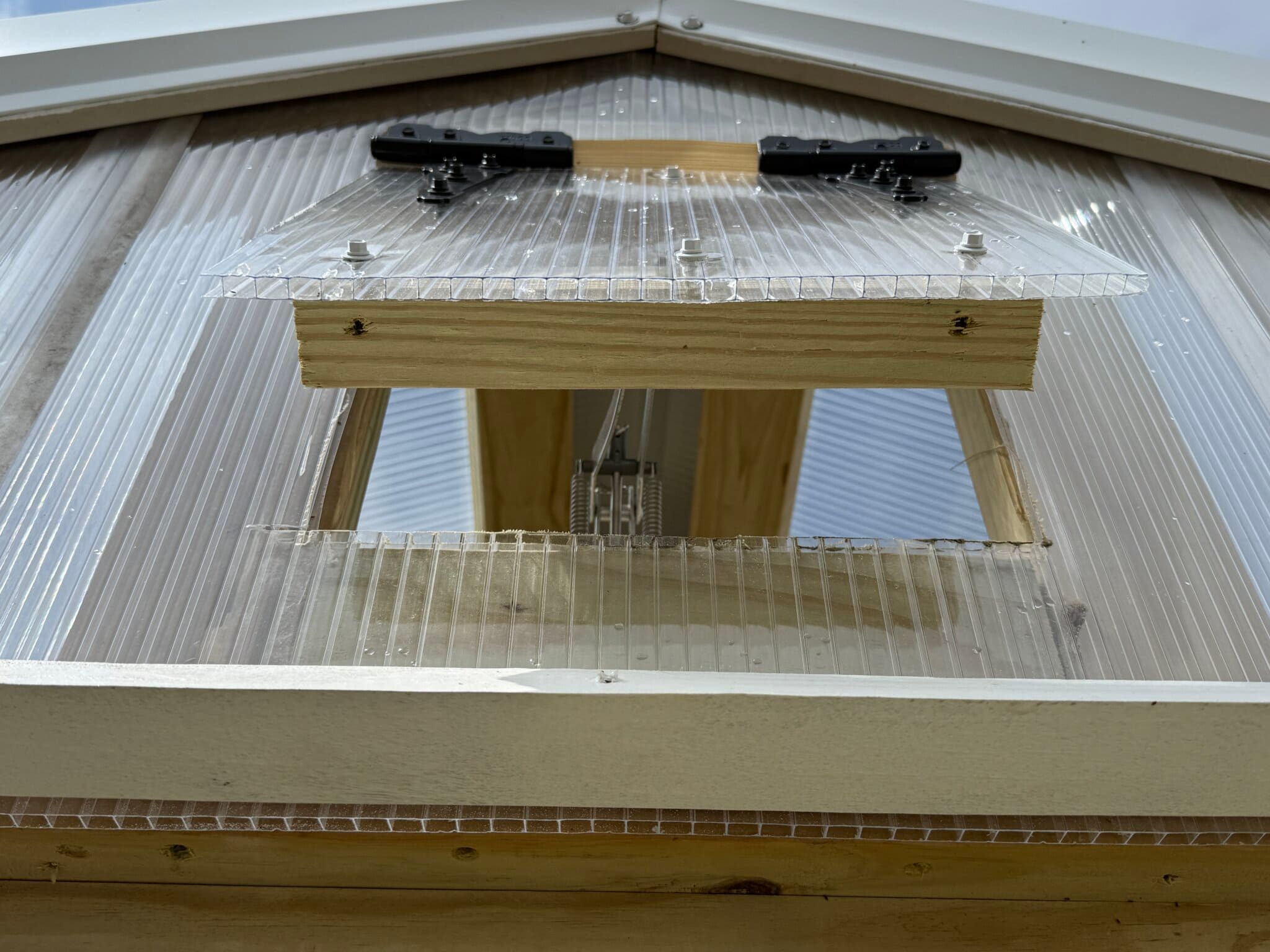 jpg: Img 4021
