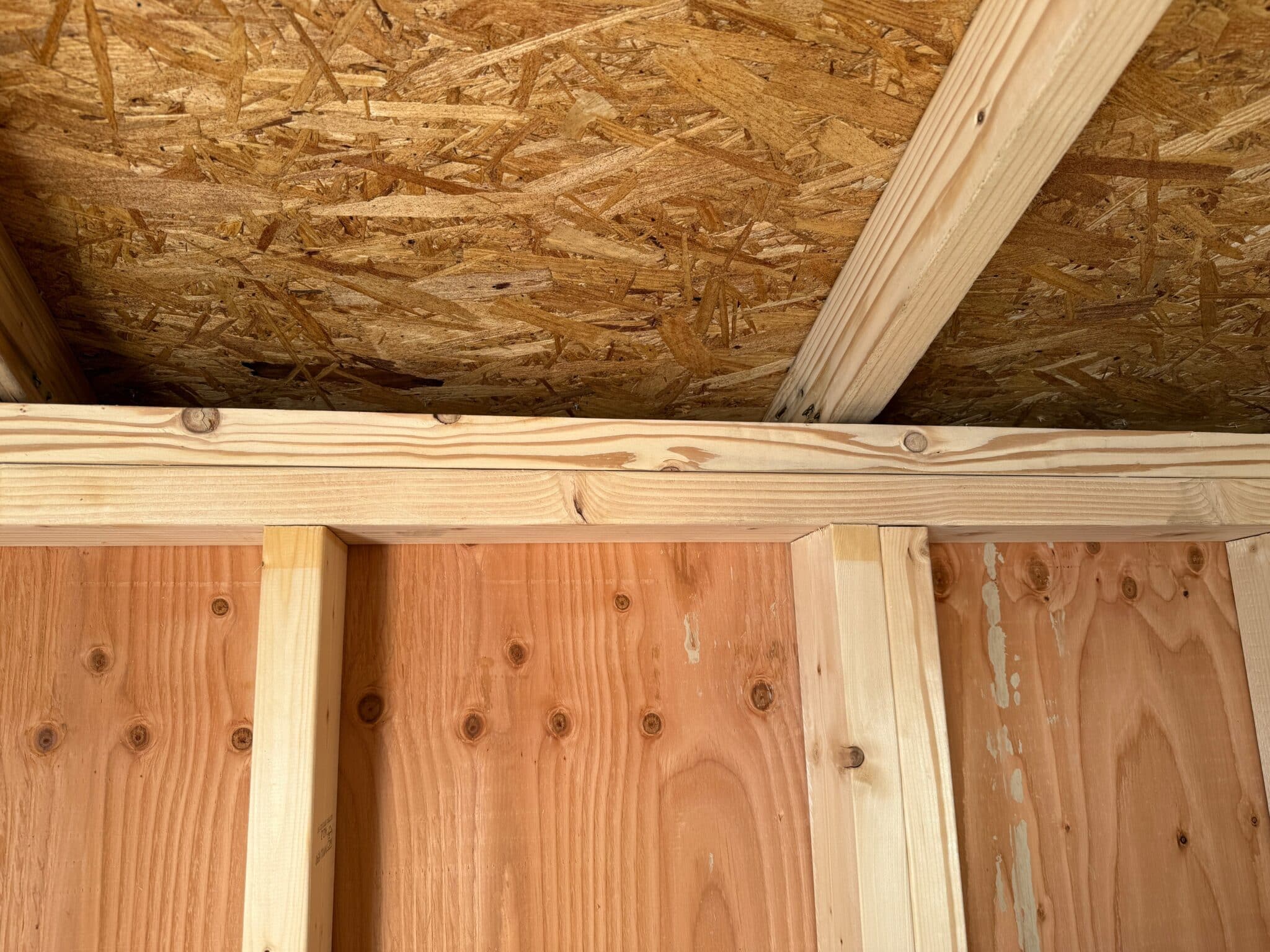 12x16 Utility Shed - Hampton, NE - Image 9