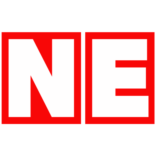 NE Sheds logo