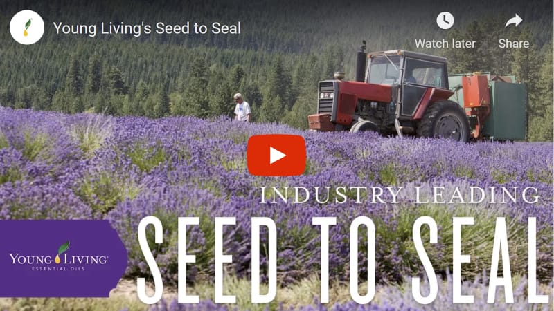 Young Living Seed to Seal Video thumbnail